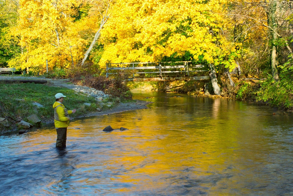 A fly fisherman stands in water