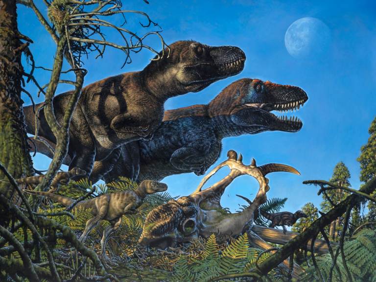 An illustration shows a pair of adult tyrannosaurs and their young living in the Arctic during the Cretaceous Period. (James Havens /Courtesy University of Alaska Fairbanks)