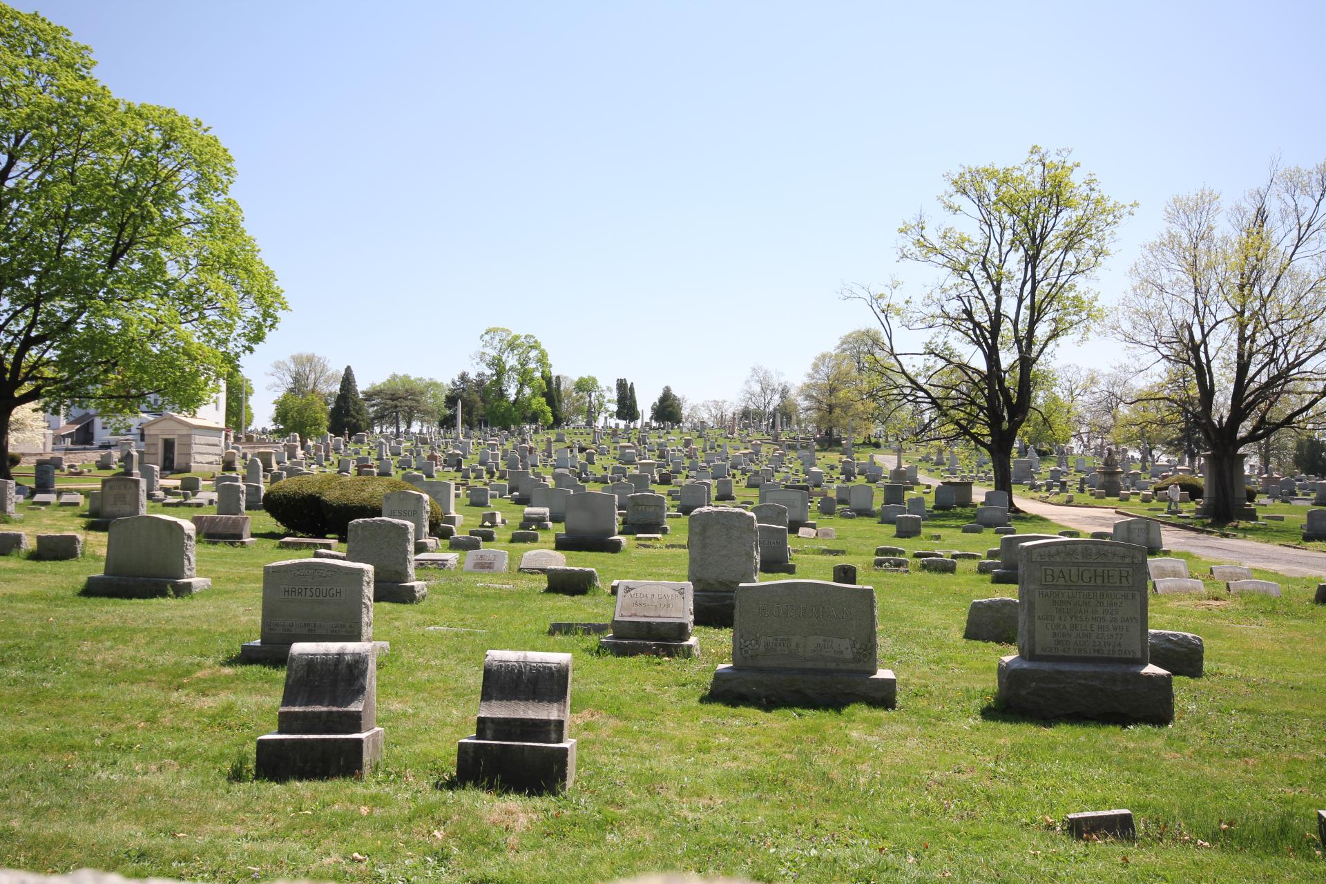 Cradle Grave Gardens Are Brought Back To Life WHYY