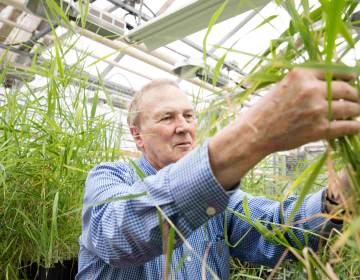 Ed Guinan, a professor of astrophysics and planetary sciences at Villanova University, has been experimenting to see what could grow on Mars. (Courtesy of Ed Guinan)