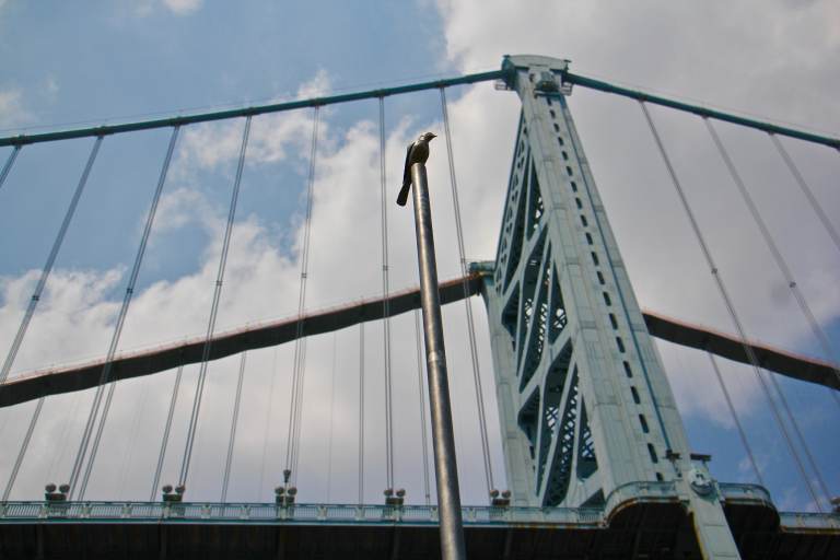 A tall pole is topped with a bronze bird as part of an art installation by the Ben Franklin Bridge
