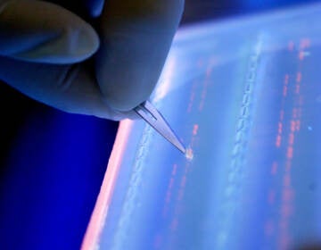 A lab officer cuts a DNA fragment under UV light