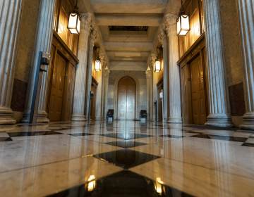 This June 30, 2021, photo shows the halls of the Capitol outside the Senate in Washington. The U.S. Capitol is still closed to most public visitors. It's the longest stretch ever that the building has been off-limits in its 200-plus year history. (AP Photo/Alex Brandon)