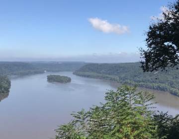 The Pinnacle Overlook offers views of the Susquehanna River's Lake Aldred in Susquehannock State Park, Lancaster County. (Marie Cusick / StateImpact Pennsylvania)