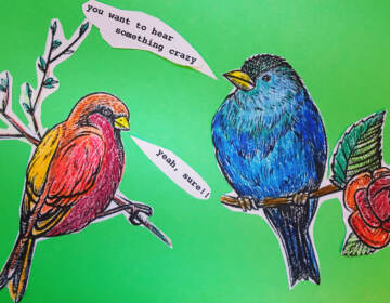 An illustration of two birds talking to each other