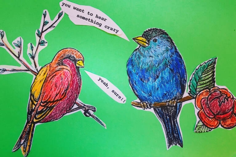 An illustration of two birds talking to each other