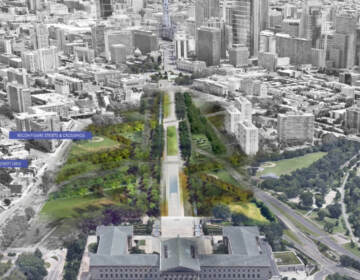 An artist's rendering shows the Benjamin Franklin Parkway as reimagined by the Philadelphia firm DIGSAU and DLANDstudio of New York. (DIGSAU and DLANDstudio) 