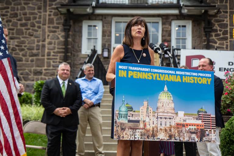 Rep. Wendi Thomas speaks from a podium during a press conference