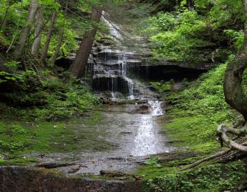 The lowest parts of Turkey Path Trail are along a series of waterfalls at Colton Point State Park.