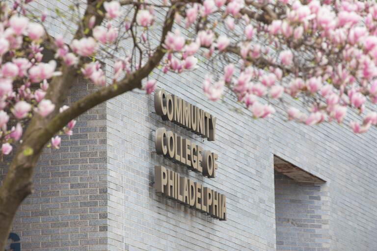 The exterior of a Community College Philadelphia building, with cherry blossoms in view.
