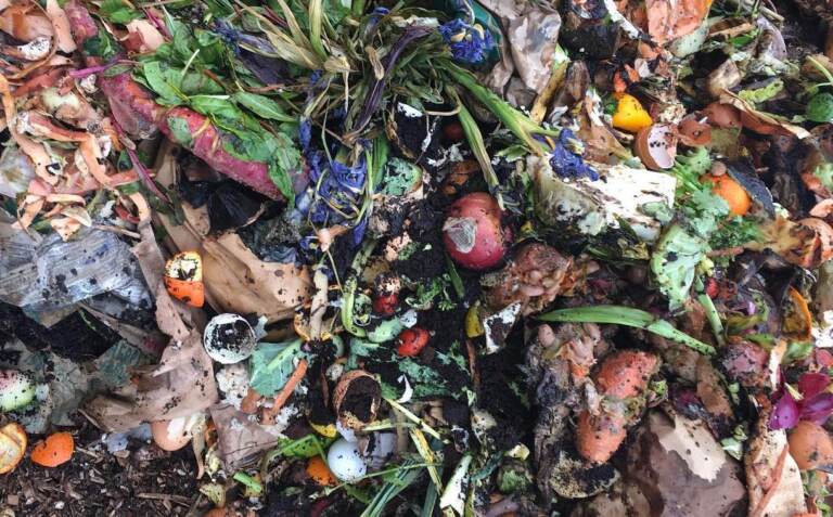 A pile of compost is pictured from above