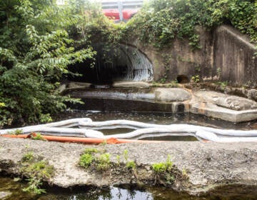 An oil spill cleanup sock in a small waterway leading to Chester Creek