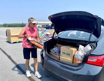 Volunteer Judy Stout helps load a trunk with food at the Food Bank of Delaware's monthly drive-thru distribution