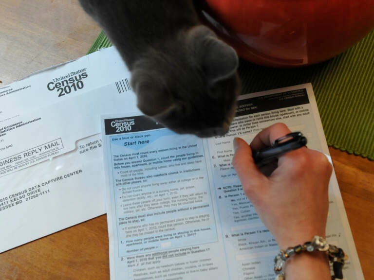 Rosalee the cat helps a Reading resident fill out her 2010 Census form.