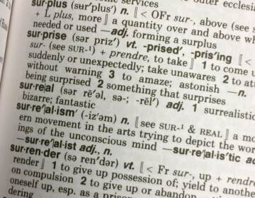 Dictionary.com has added over 300 new words and definitions, including 