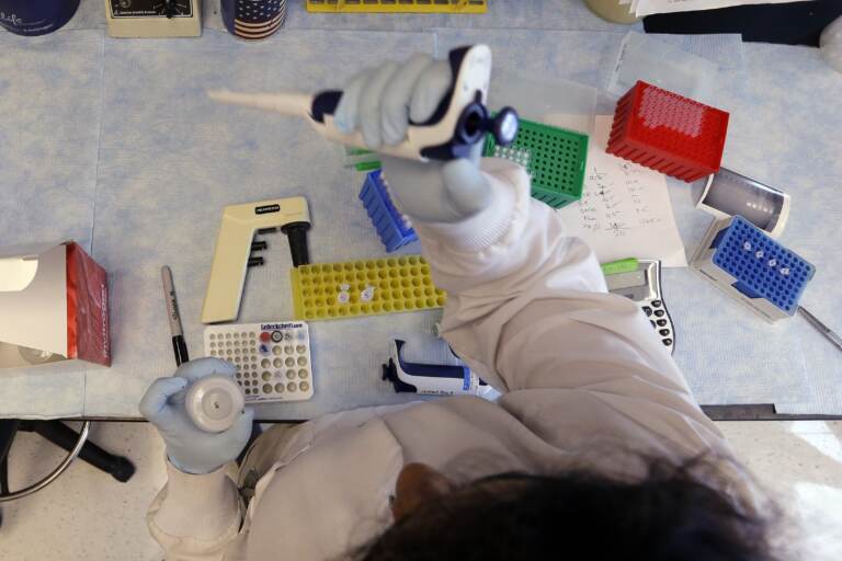 A research technician works to clone DNA in an immunotherapy research lab. (Elaine Thompson/AP Photo)