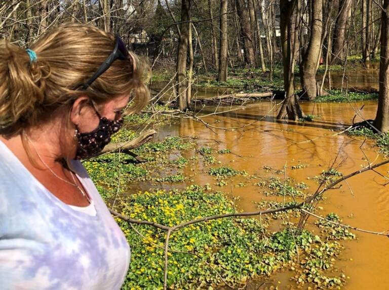 Libby Madarasz, a resident of Meadowbrook Manor, surveys the damage caused by Sunoco’s Mariner East 2 pipeline construction. (Susan Phillips / StateImpact Pennsylvania)