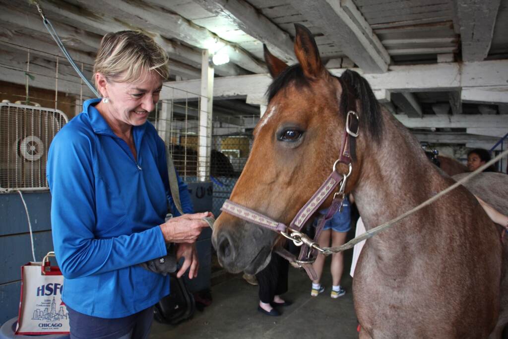 Denise Kinney tends to Minnie the horse