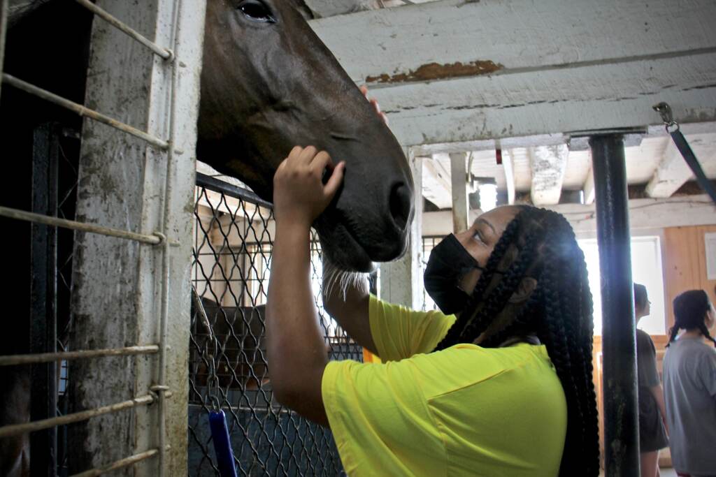 Lashawnna Levy caresses Jameson the horse