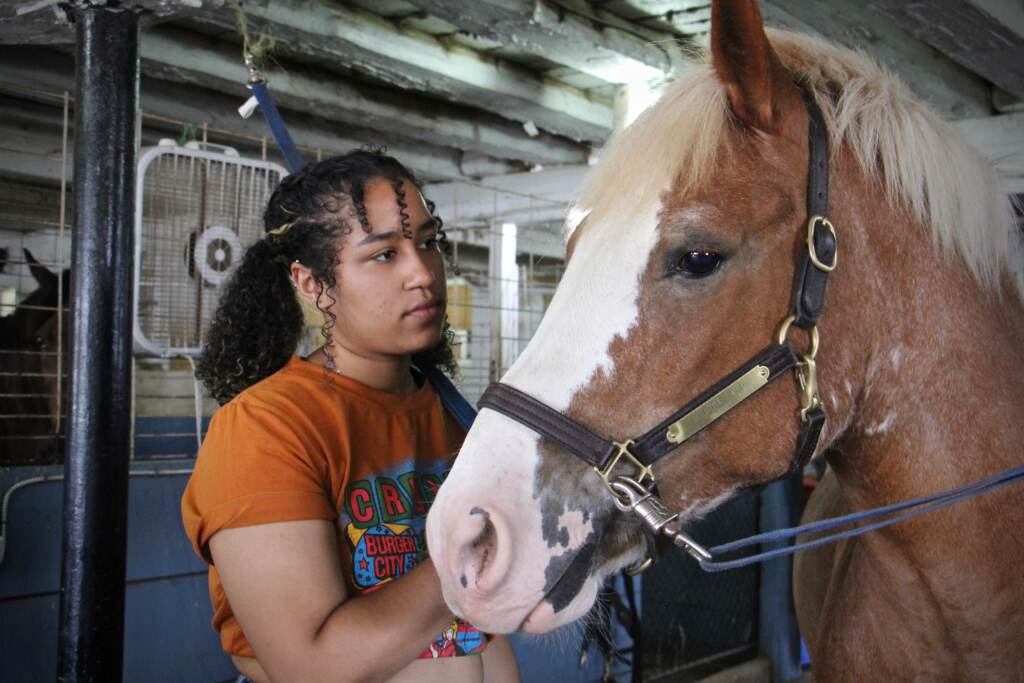 Sarah Cassanova grooms a horse