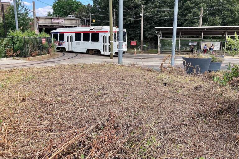 A razed pollinator garden at the 40th Street trolley portal