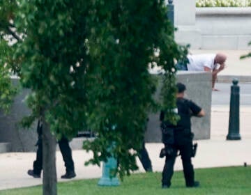 Floyd Ray Roseberry is apprehended after being in a pickup truck parked on the sidewalk in front of the Library of Congress' Thomas Jefferson Building