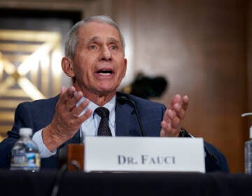 Dr. Anthony Fauci testifies before the Senate