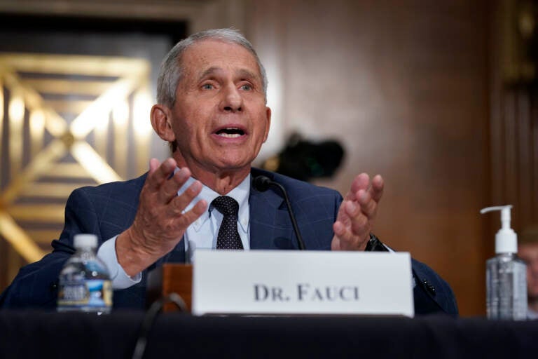 Dr. Anthony Fauci testifies before the Senate