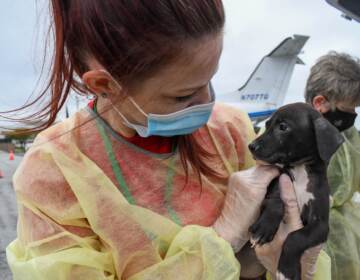 A volunteer wearing a face mask holds up a puppy