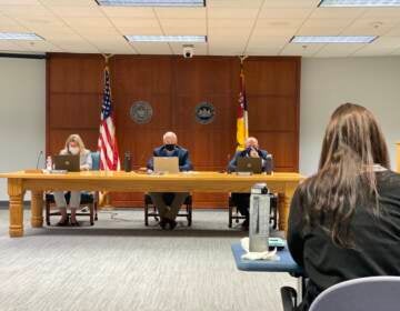 County solicitor Christine Sadler, Commissioner Chair Christian Leinbach and Commissioner Michael Rivera at Thursday's meeting