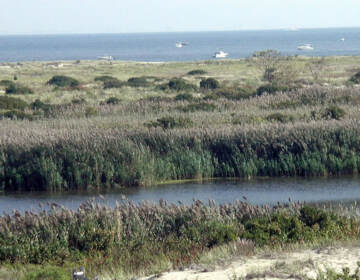 North Pond at Sandy Hook.