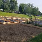 Woodchips surround the garden plots to keep out weeds at the Norristown Sprouts Community Garden. (Montgomery County Office of Public Health)