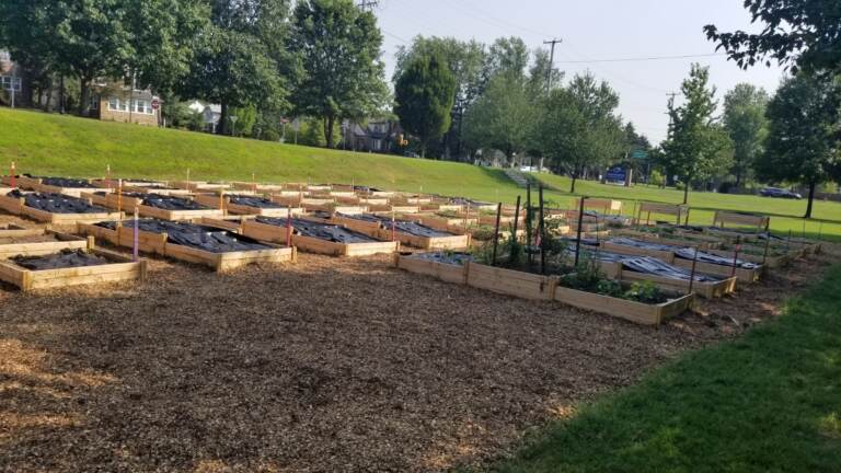 Woodchips surround the garden plots to keep out weeds at the Norristown Sprouts Community Garden. (Montgomery County Office of Public Health)