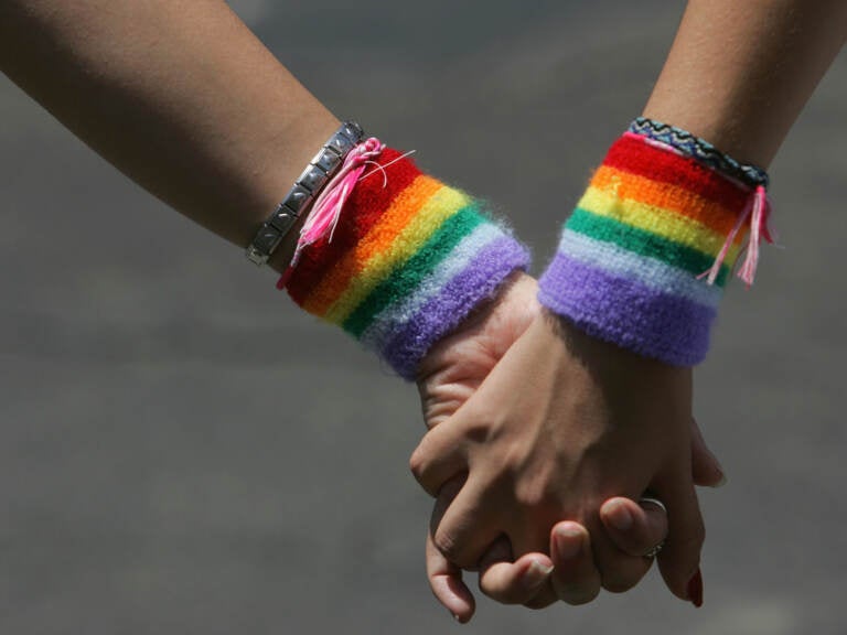 A lesbian couple hold hands during the annual Gay Pride rally, on June 8, 2007. Recent survey data shows that LGBTQ adults in the U.S. are more likely to report higher rates of food and economic insecurity. (David Silverman/Getty Images)