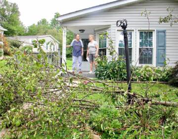 Mel and Olga Cohen stand on their front porch, with a fallen tree on their lawn