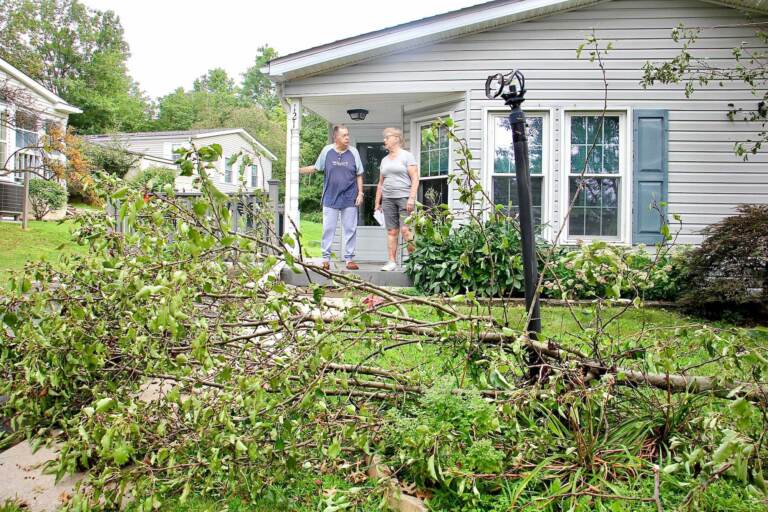 Mel and Olga Cohen stand on their front porch, with a fallen tree on their lawn