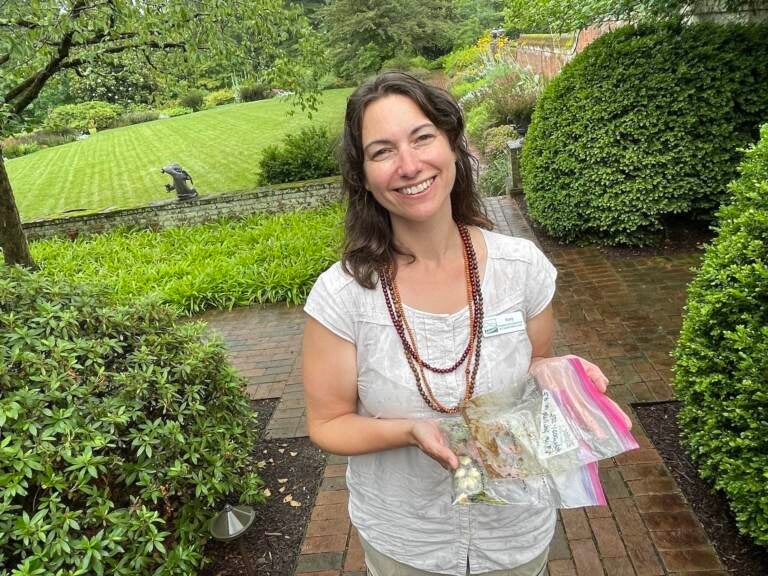 Amy Highland holds various strains of trillium