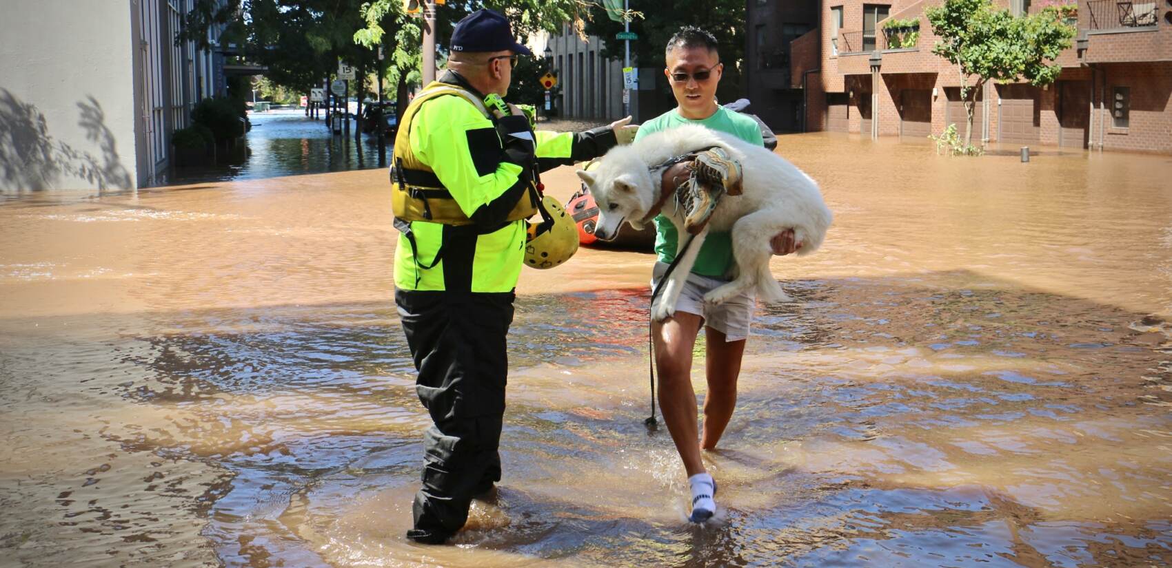 Dog owner carries husky to safety amid flooding.