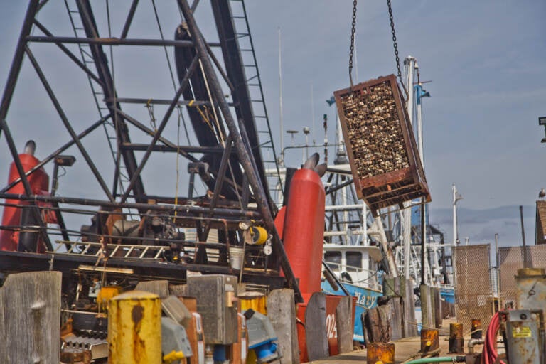 A 2,000-pound crate of clams is lifted out of the Mary B. Each at Dockside Packing in Atlantic City