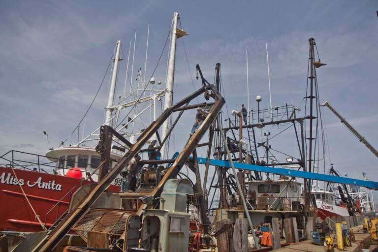 Men work on fishing ships at Dockside Packing in Atlantic City, N.J. (Kimberly Paynter/WHYY)