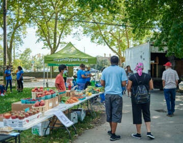 Visitors walk through the farmer's market at Fairmount Park