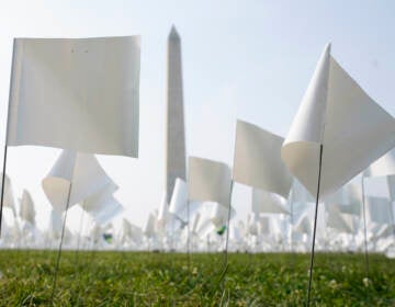 White flags stand near the Washington Monument on Tuesday. The flags, which will number more than 630,000 when the temporary art installation on the National Mall is completed, are part of artist Suzanne Brennan Firstenberg's In America: Remember, honoring Americans who have died of COVID-19. (Patrick Semansky/AP)