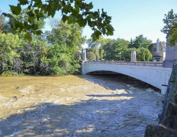 The Brandywine River crested to record levels on Thursday. (City of Wilmington)