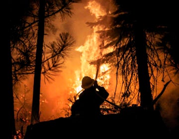 A firefighter with the U.S. Forest Service protects the Strawberry General Store on Highway 50 in El Dorado County after a backfire was set, Saturday, Aug. 28, 2021, against the advancing Caldor Fire