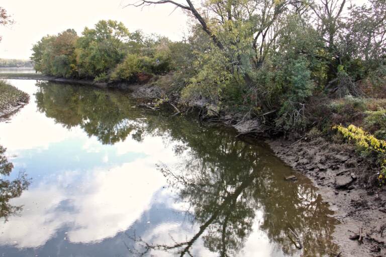 Pennypack Creek at the point where it meets the Delaware River. (Emma Lee/WHYY)