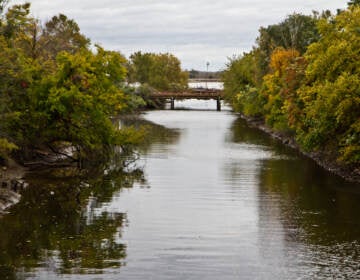 Ridley Creek meets the Delaware River