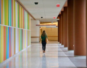 Odili Odita's , ''Field and Sky'' mural at Penn Medicine's Pavillion faces a long bank of windows looking out to a landscaped green area