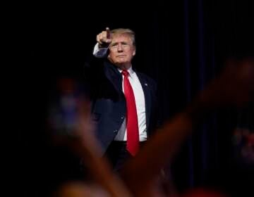 Donald Trump points to supporters in a crowd