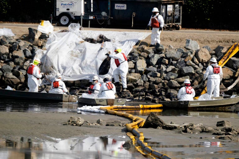 Crews continue to clean the oil in the Wetlands Talbert Marsh after an oil spill in Huntington Beach, Calif., on Huntington Beach, Calif., on Monday, Oct. 4, 2021. A major oil spill off the coast of Southern California fouled popular beaches and killed wildlife while crews scrambled Sunday, to contain the crude before it spread further into protected wetlands. (AP Photo/Ringo H.W. Chiu)