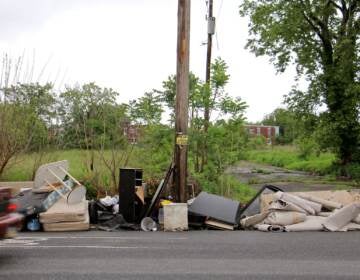 Trash dumped on the side of a street.